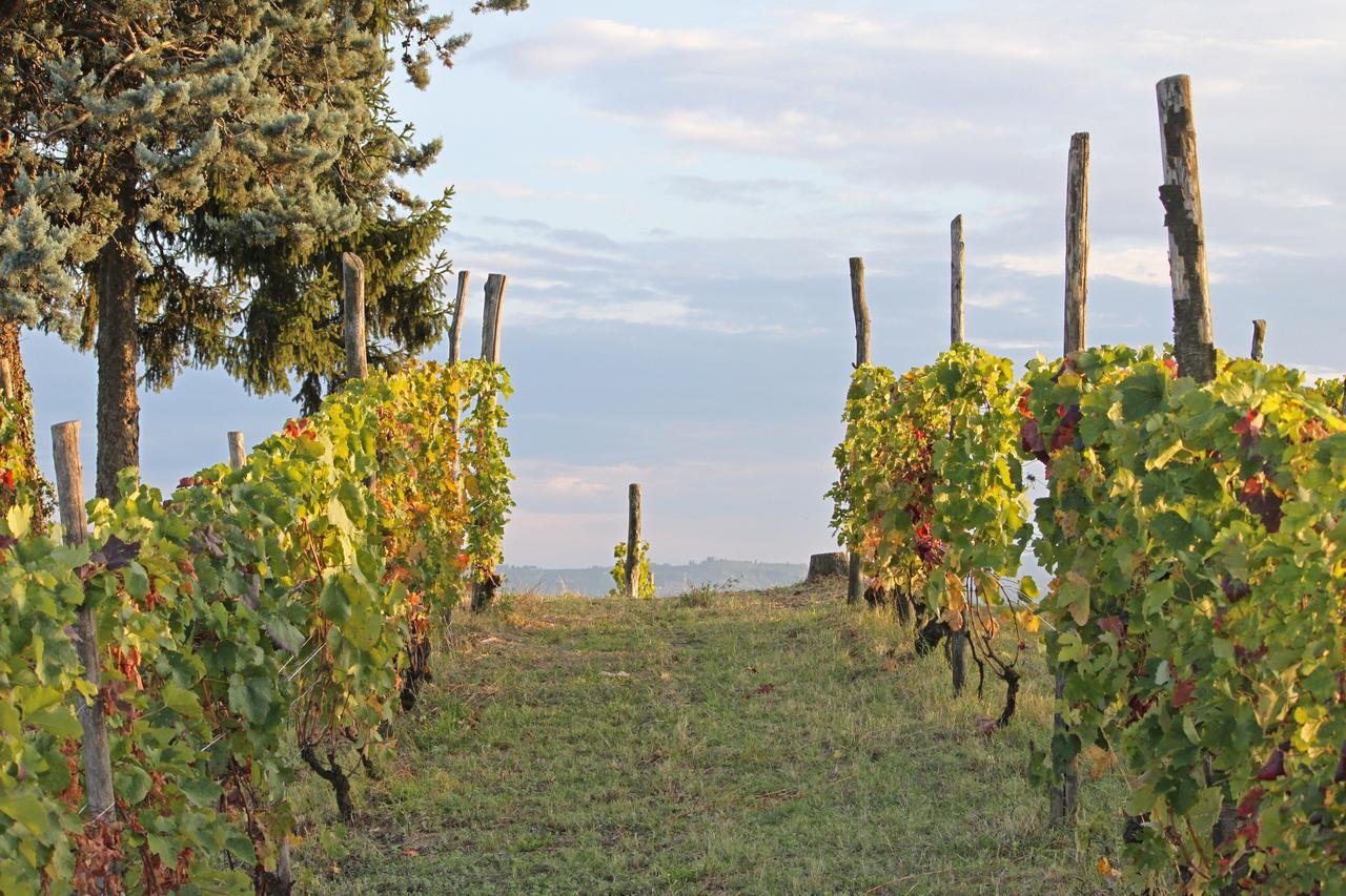 Cascina San Michele Bed and Breakfast Costigliole d'Asti Exteriör bild
